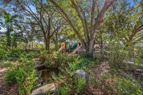 4230 Rex Drive Winter Garden FL 34787