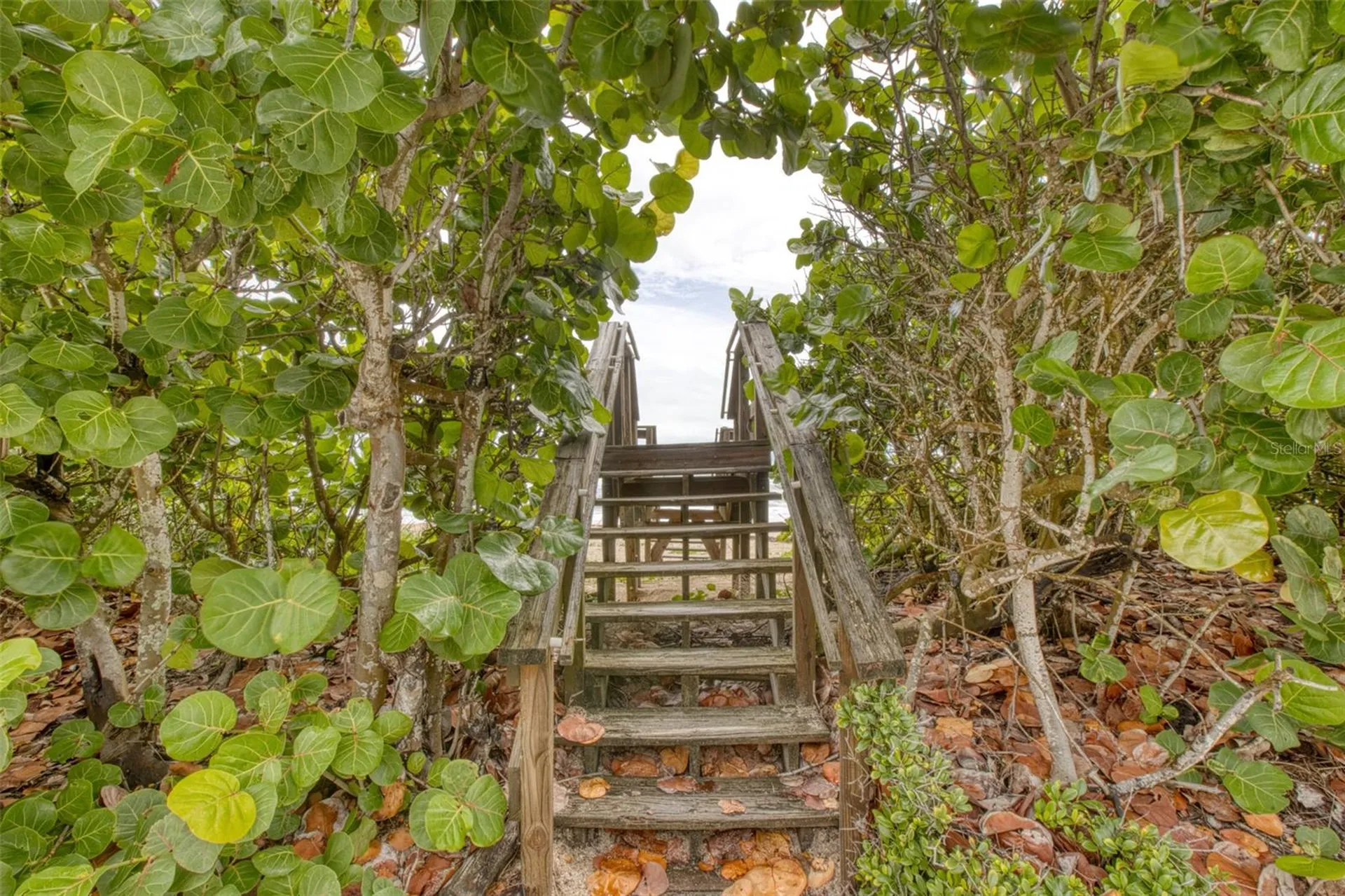 6368 S Atlantic Avenue New Smyrna Beach FL 32169