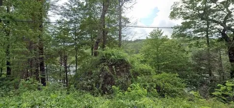 15XX Franklin Road Highlands NC 28741