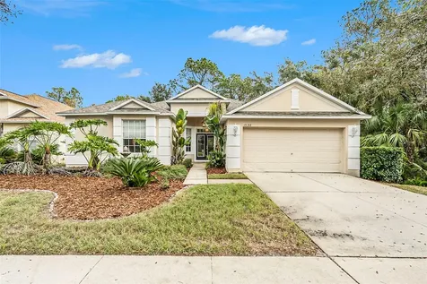 19157 Meadow Pine Drive Tampa FL 33647