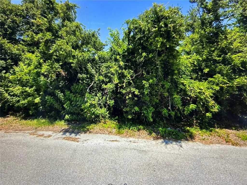 13357 Amaryllis Circle Port Charlotte FL 33981