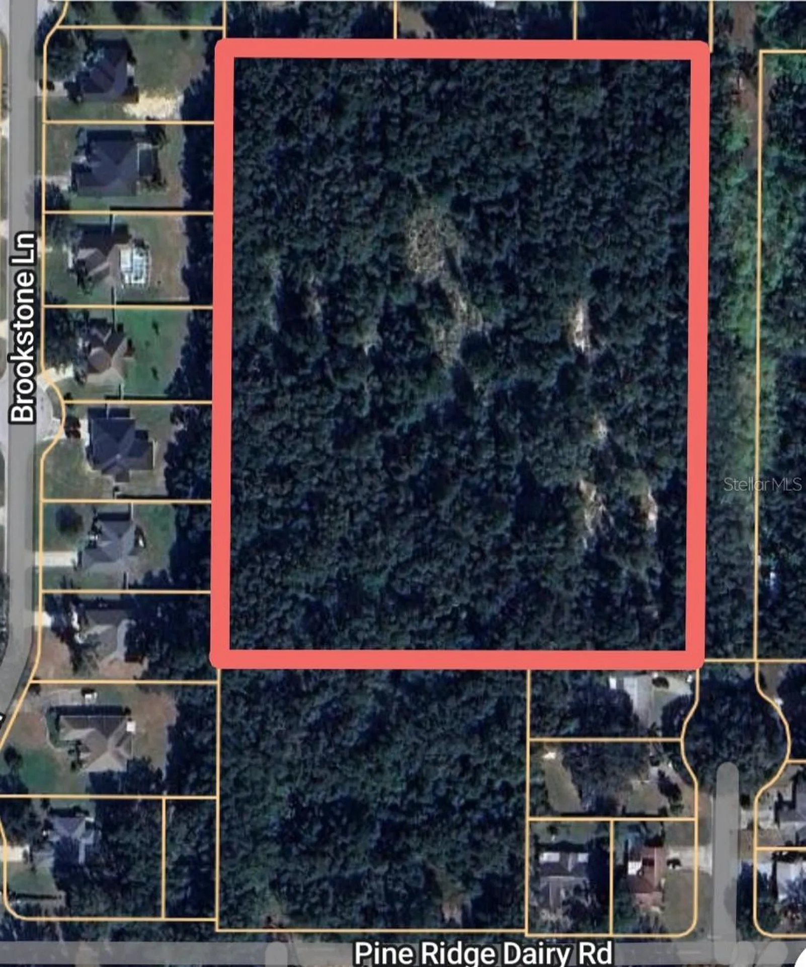 1603 Pine Ridge Dairy Road Fruitland Park FL 34731