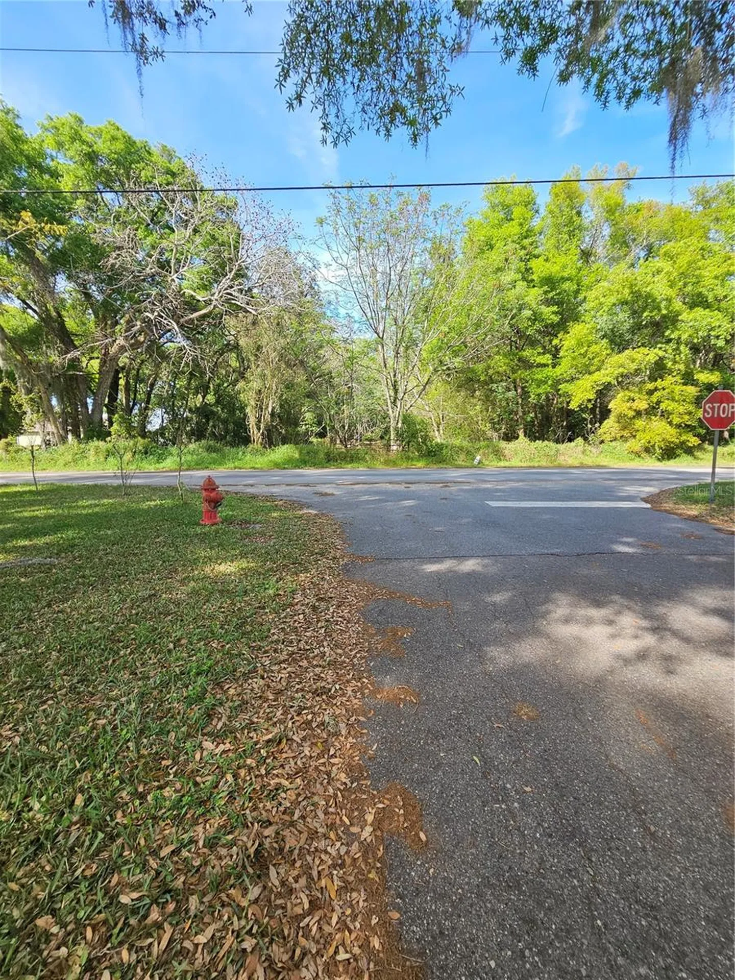 1603 Pine Ridge Dairy Road Fruitland Park FL 34731