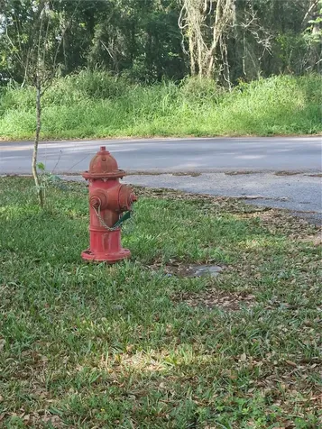 1603 Pine Ridge Dairy Road Fruitland Park FL 34731