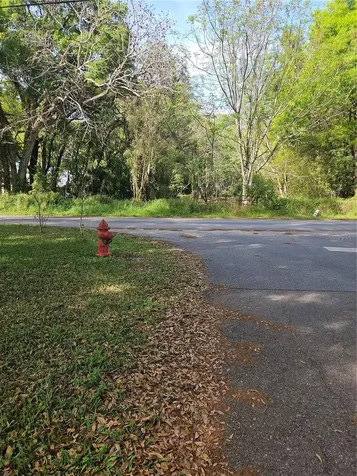 1603 Pine Ridge Dairy Road Fruitland Park FL 34731