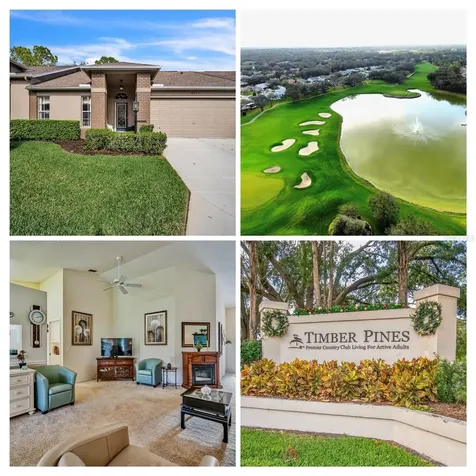8015 Willow Brook Drive Spring Hill FL 34606