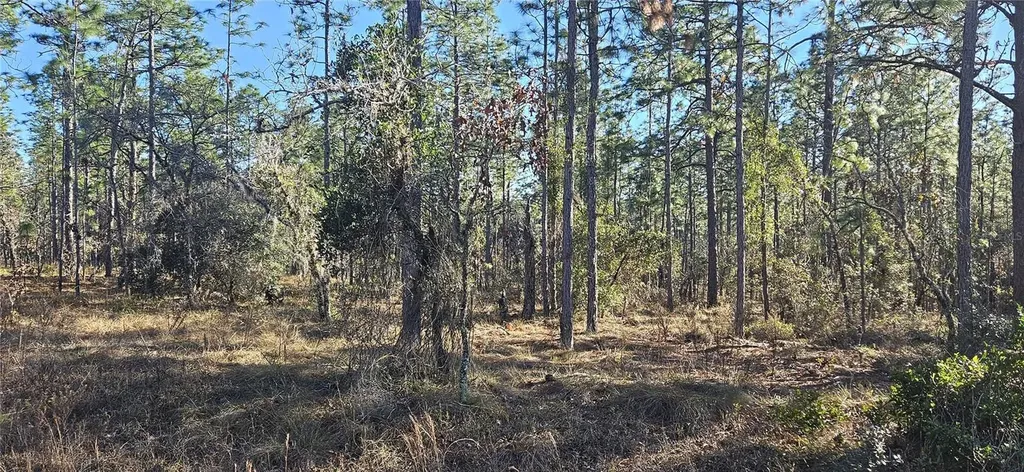 Lot 13 NW Water Oak Avenue Dunnellon FL 34431
