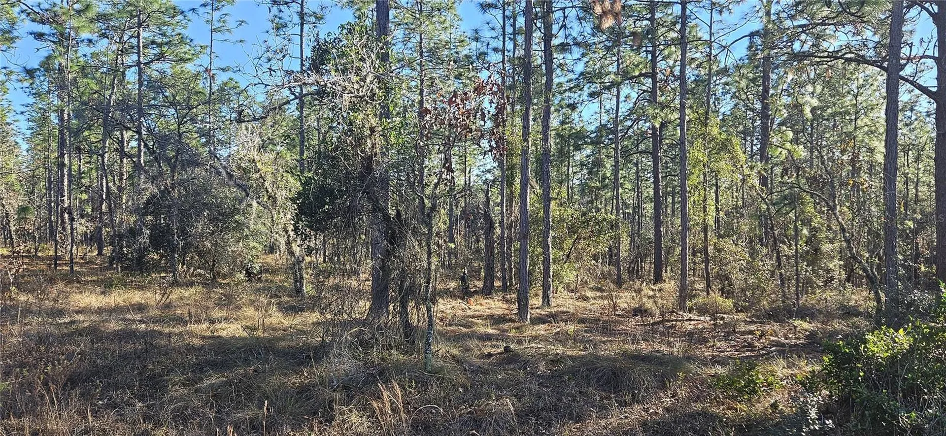Lot 13 NW Water Oak Avenue Dunnellon FL 34431
