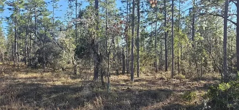 Lot 13 NW Water Oak Avenue Dunnellon FL 34431