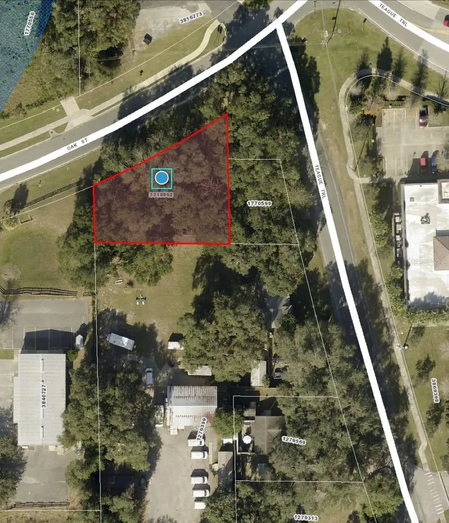 Oak Street Lady Lake FL 32159