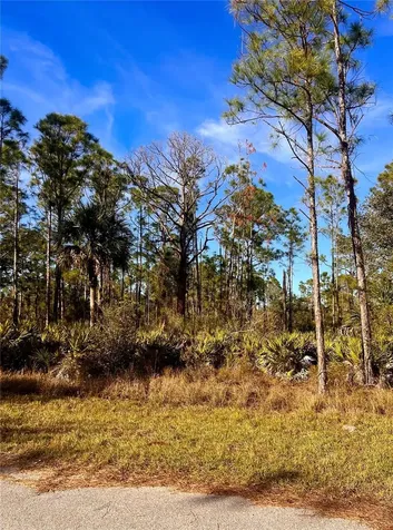13084 Harbison Avenue Port Charlotte FL 33953