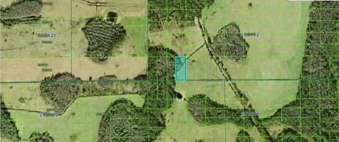 Commonwealth Avenue N Polk City FL 33868