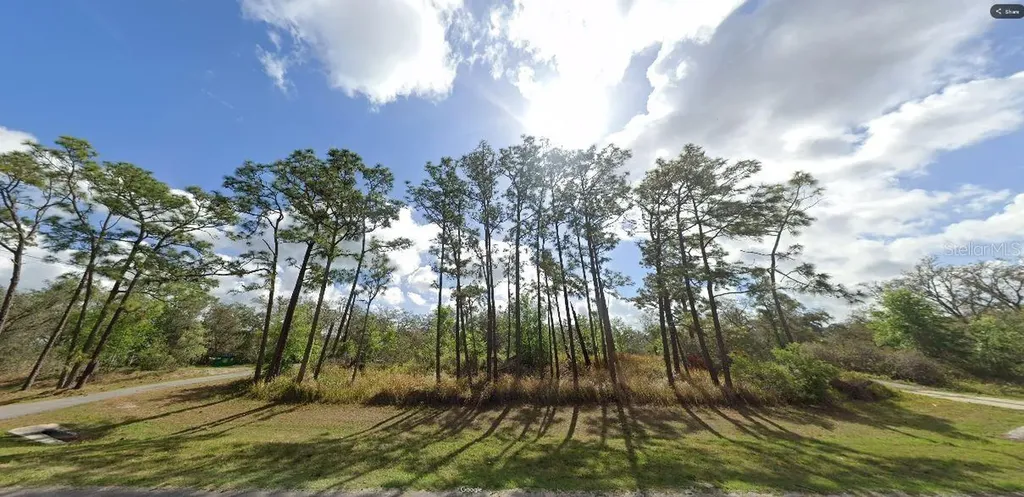 Commonwealth Avenue N Polk City FL 33868
