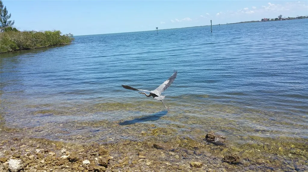6035 Sea Ranch Drive Hudson FL 34667