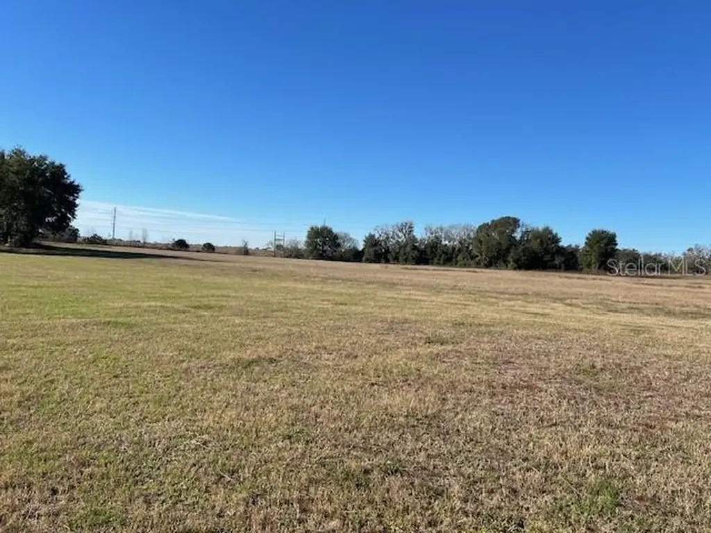 0 NW 95th Street Anthony FL 32617