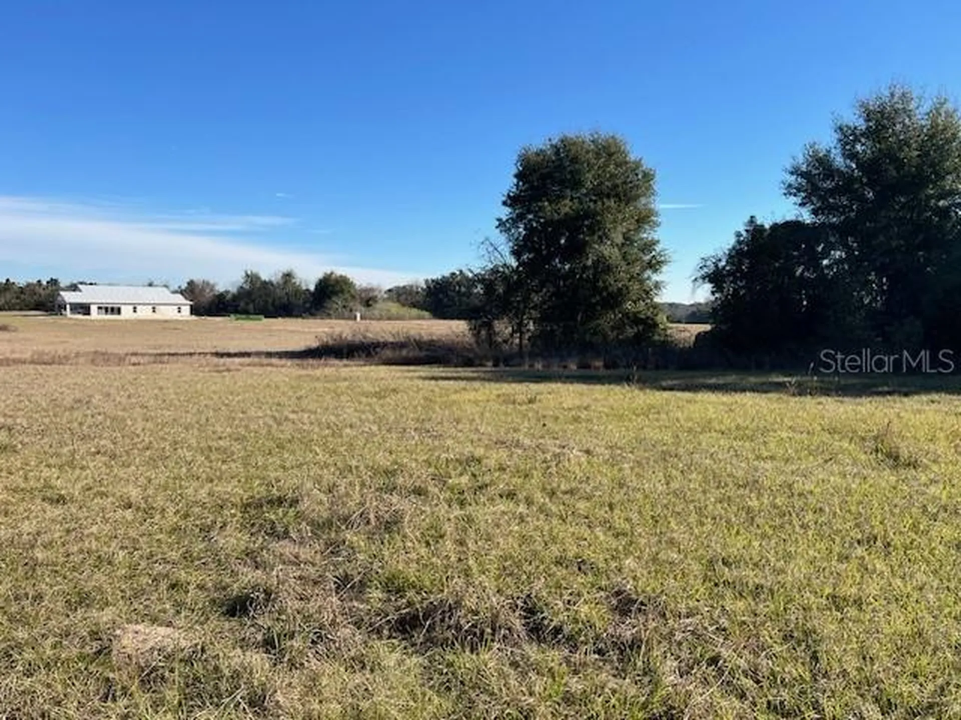0 NW 95th Street Anthony FL 32617