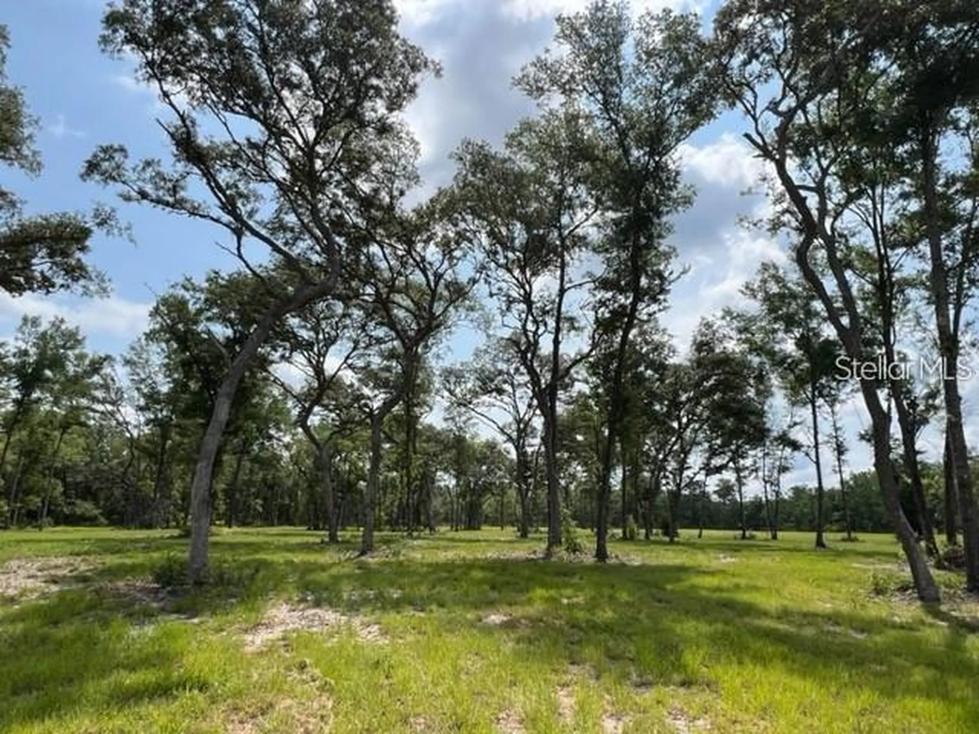 Tbd NW 14th Street - Lot 6 Ocala FL 34482