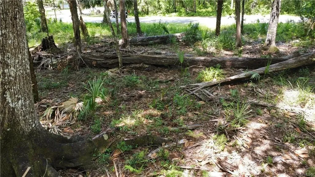 5303 S Parkland Terrace Homosassa FL 34448