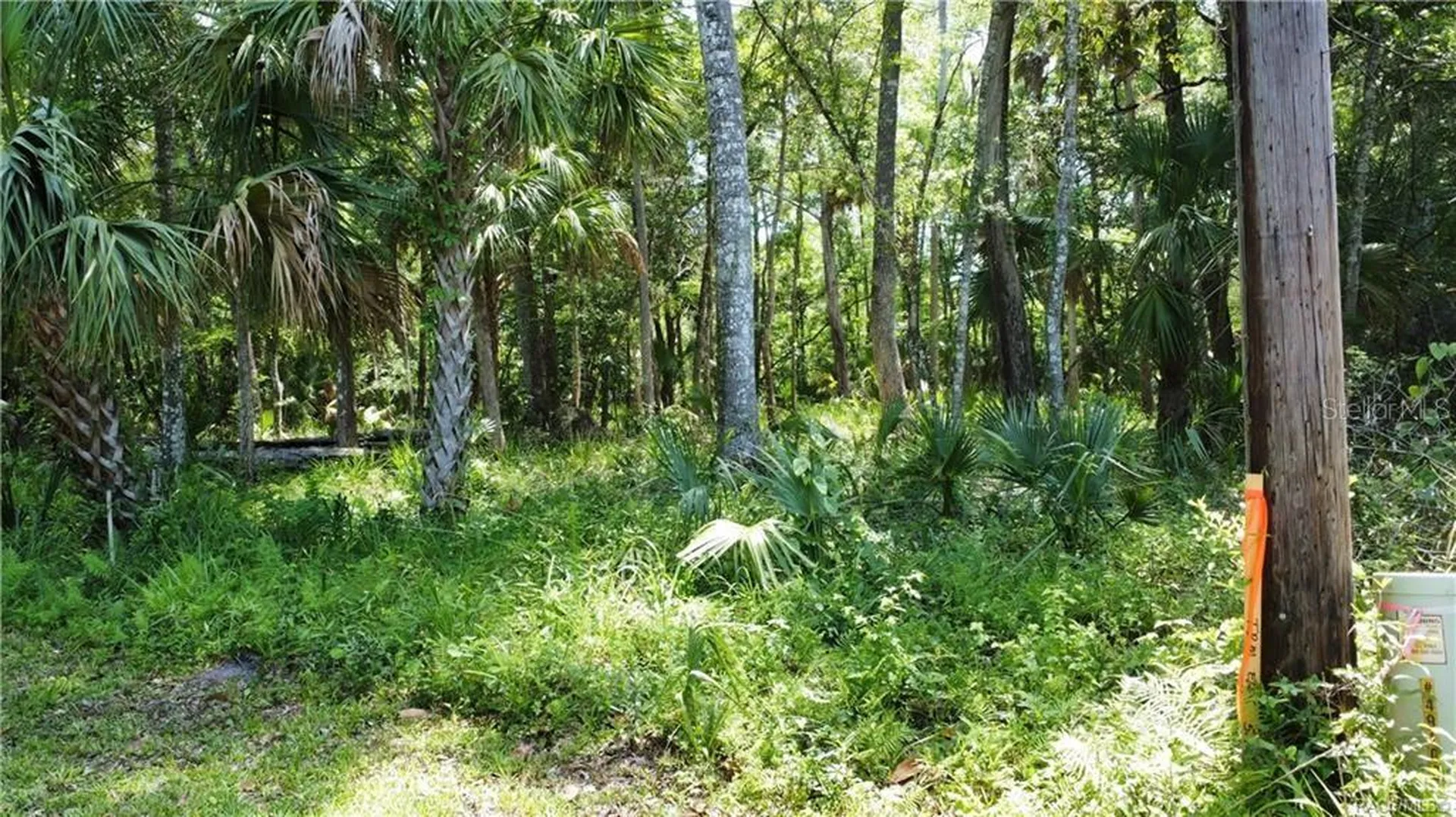 5303 S Parkland Terrace Homosassa FL 34448