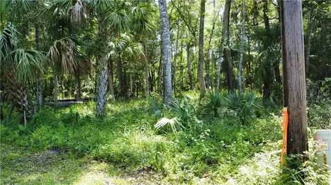 5303 S Parkland Terrace Homosassa FL 34448
