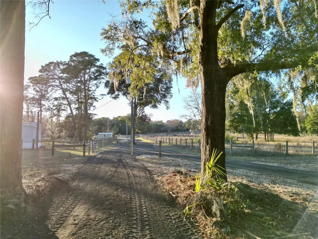 Tbd SW 110th Avenue Dunnellon FL 34432