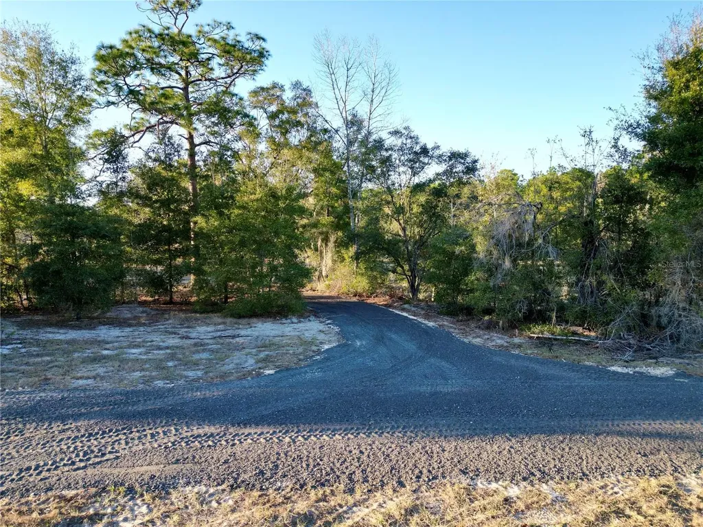 Tbd SW 110th Avenue Dunnellon FL 34432
