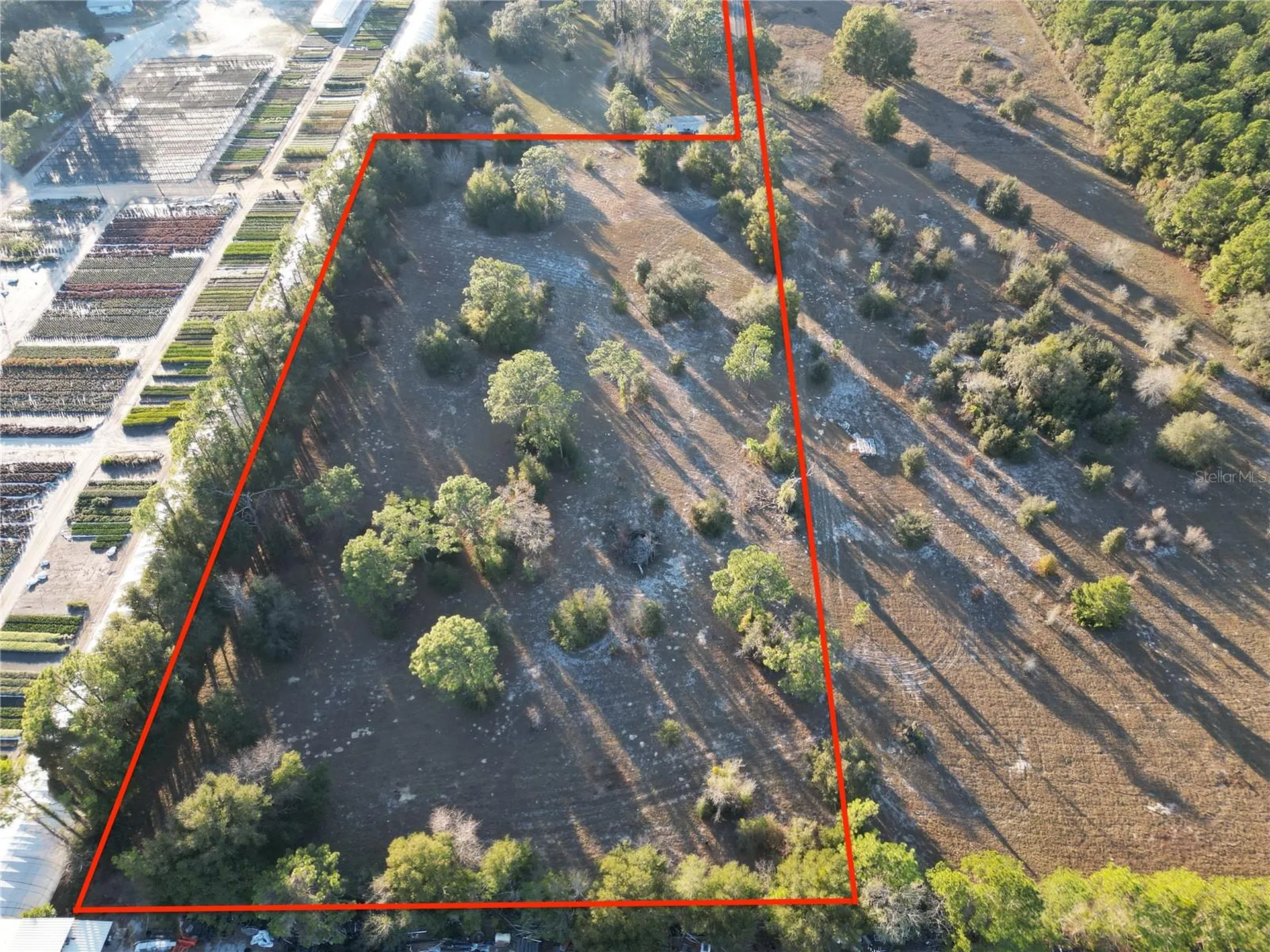 Tbd SW 110th Avenue Dunnellon FL 34432