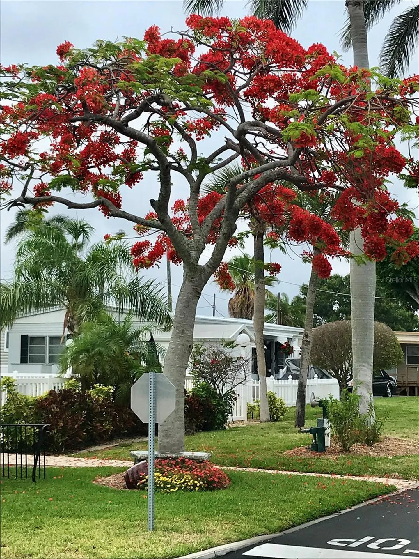 3710 Gulf Of Mexico Drive Longboat Key FL 34228
