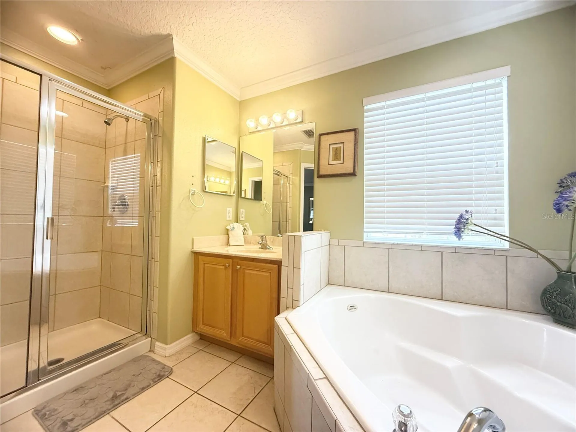 8557 La Isla Drive Kissimmee FL 34747