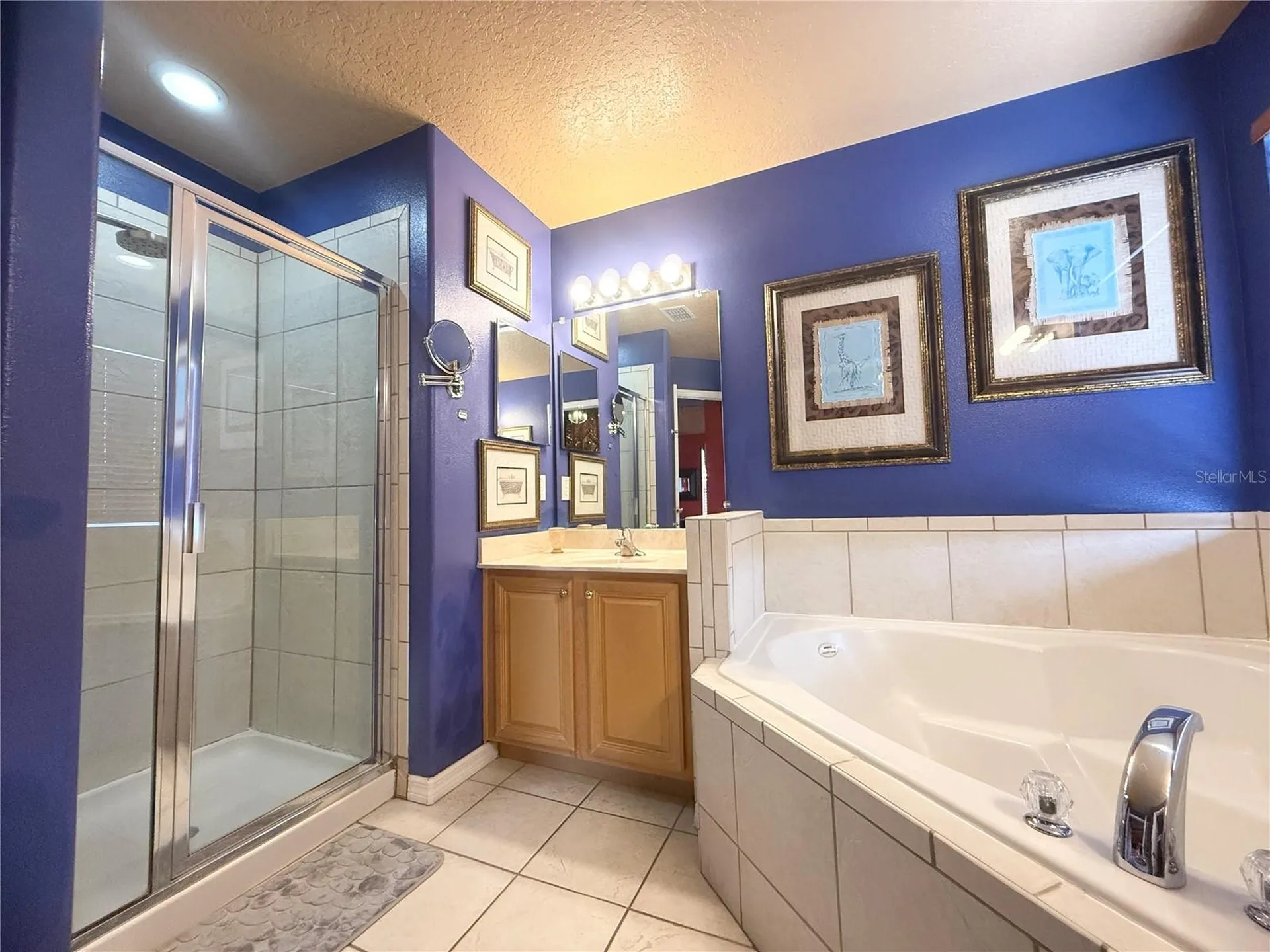 8557 La Isla Drive Kissimmee FL 34747
