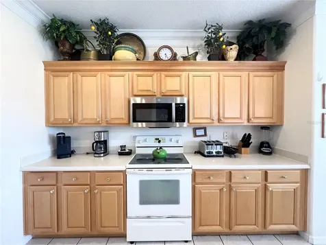 8557 La Isla Drive Kissimmee FL 34747
