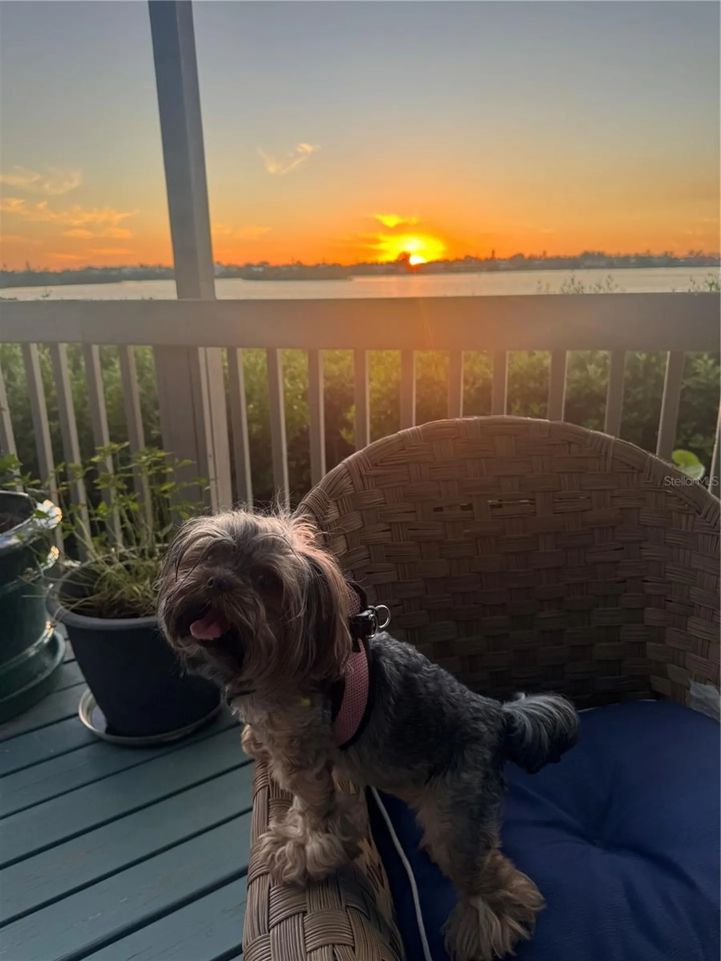 1323 Landings Drive Sarasota FL 34231