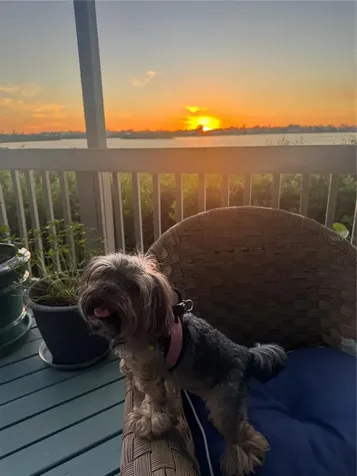 1323 Landings Drive Sarasota FL 34231