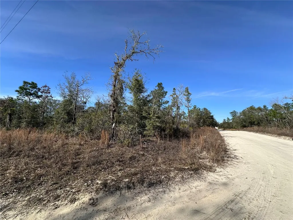 Tbd NE 117th Terrace Williston FL 32696