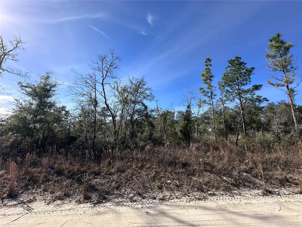 Tbd NE 117th Terrace Williston FL 32696