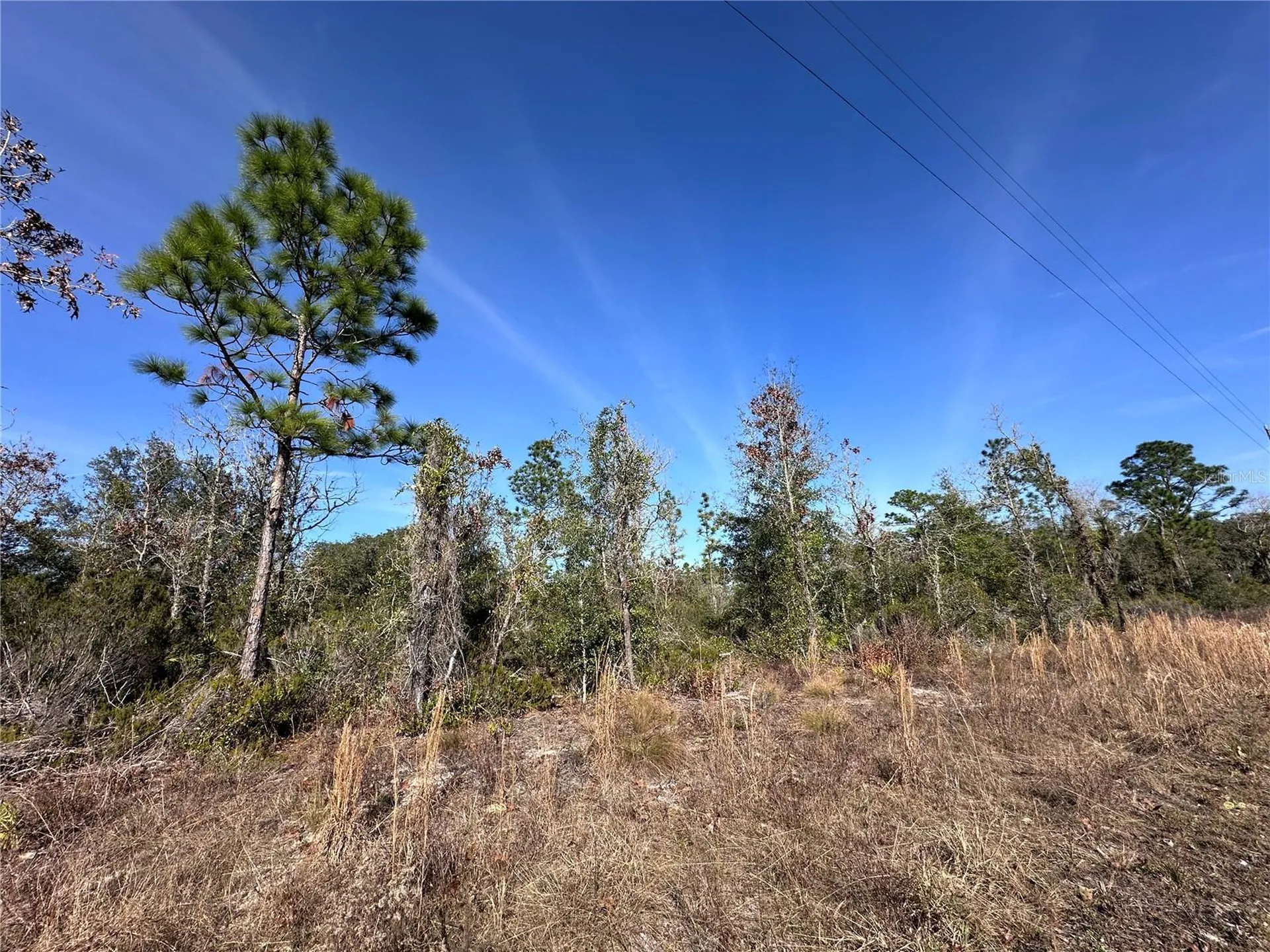 Tbd NE 117th Terrace Williston FL 32696