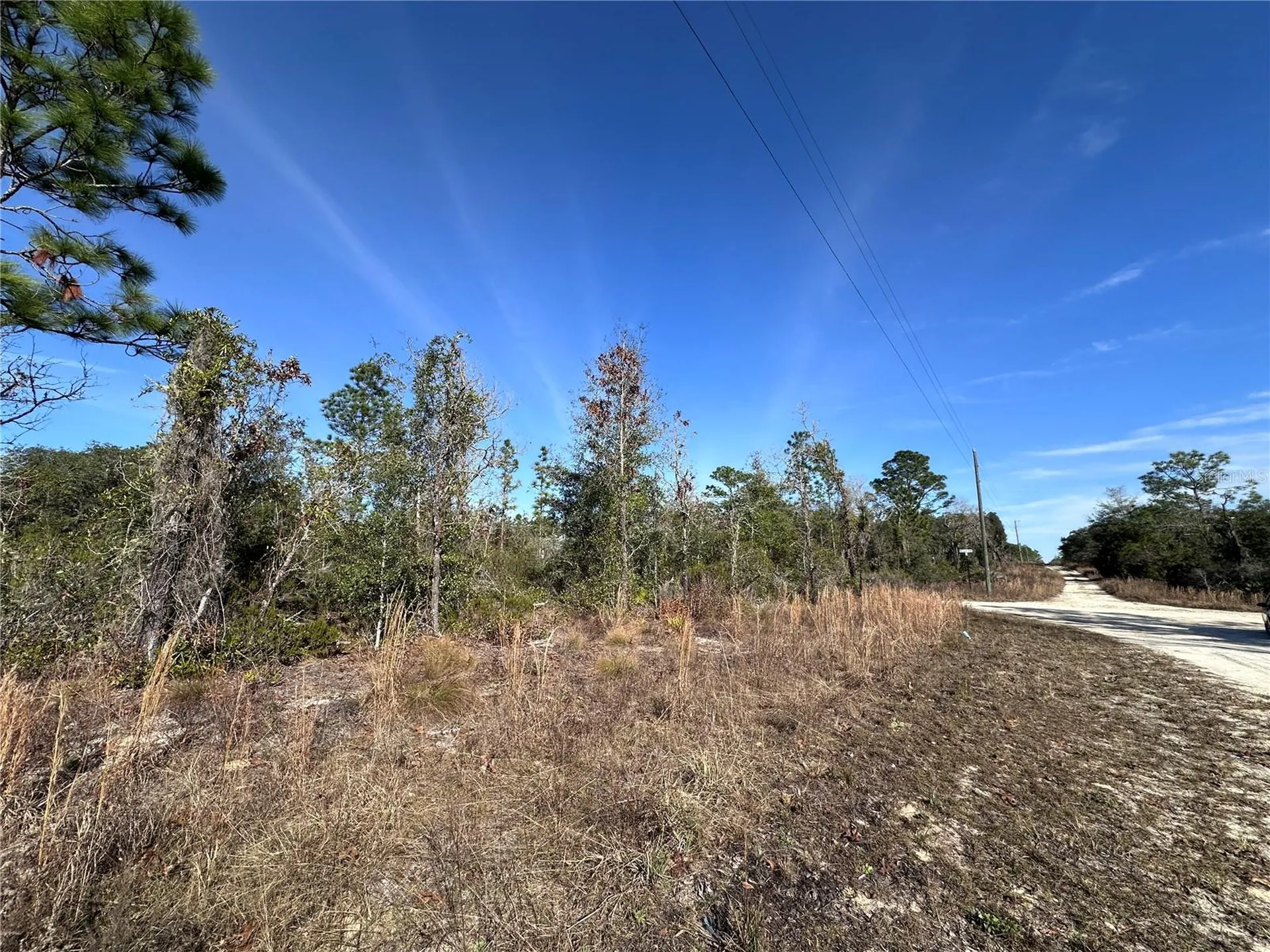 Tbd NE 117th Terrace Williston FL 32696
