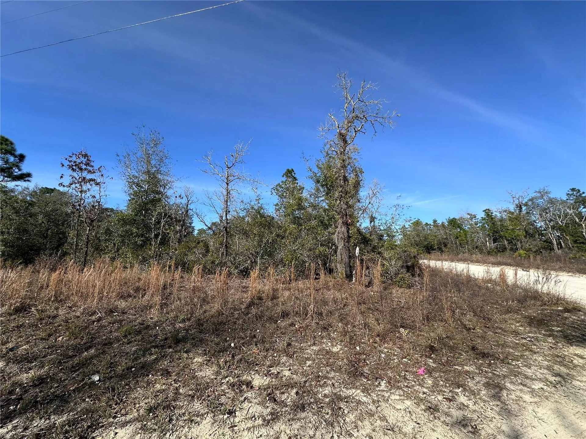 Tbd NE 117th Terrace Williston FL 32696