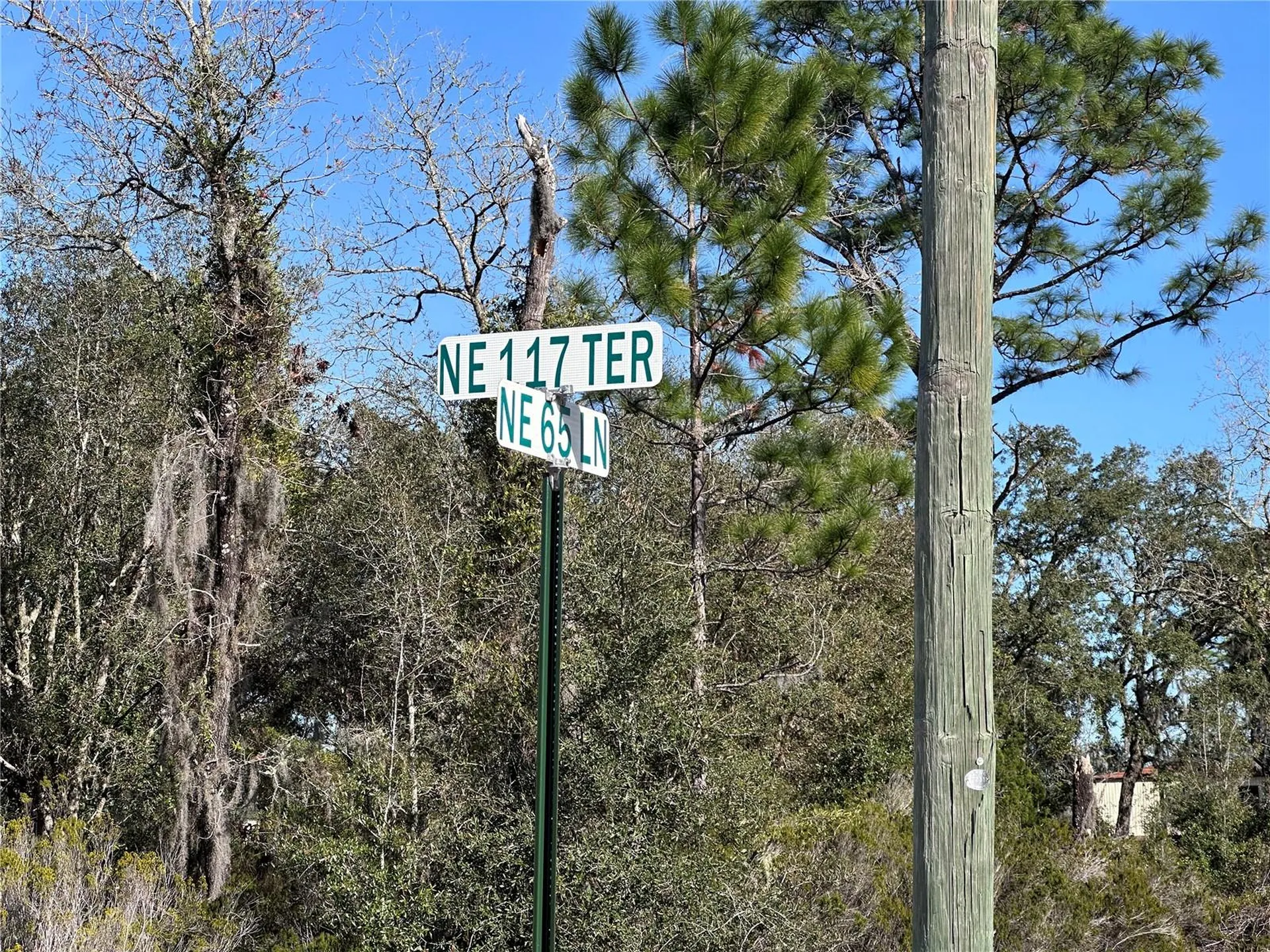 Tbd NE 117th Terrace Williston FL 32696