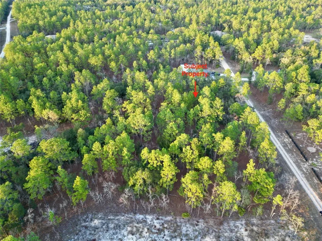 Tbd SW 124th Terrace Road Ocala FL 34481