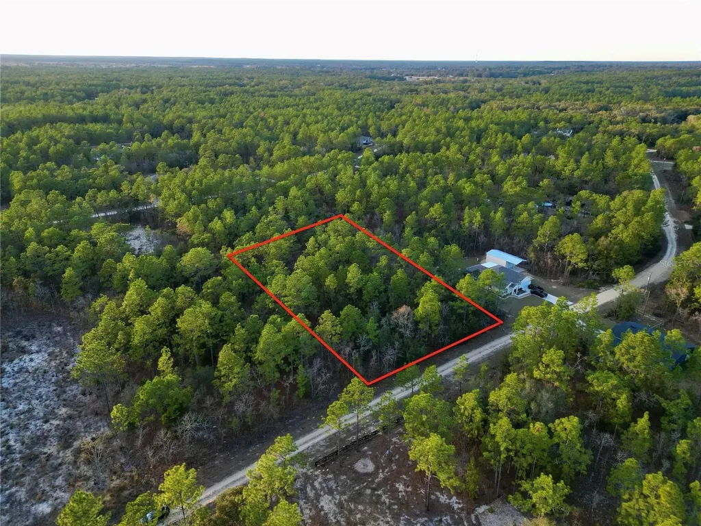 Tbd SW 124th Terrace Road Ocala FL 34481