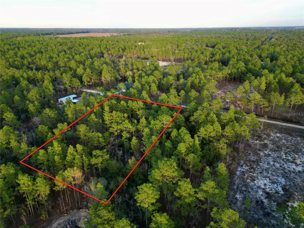 Tbd SW 124th Terrace Road Ocala FL 34481