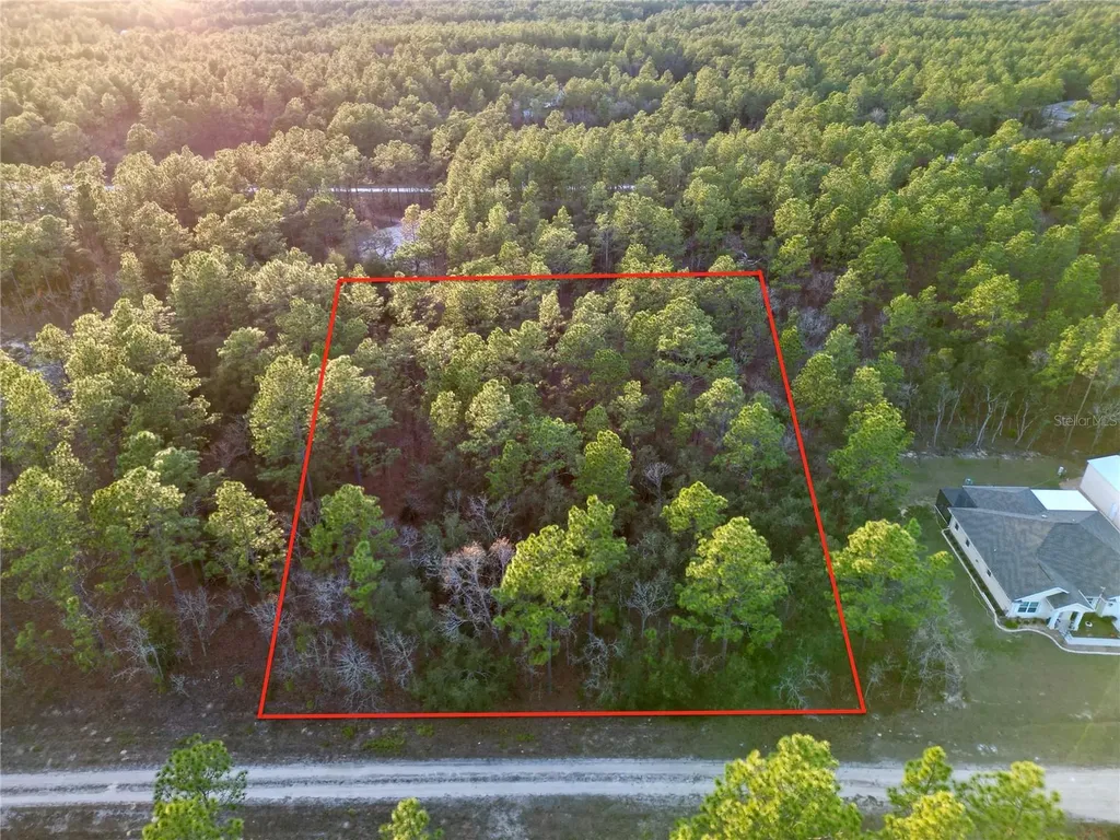 Tbd SW 124th Terrace Road Ocala FL 34481