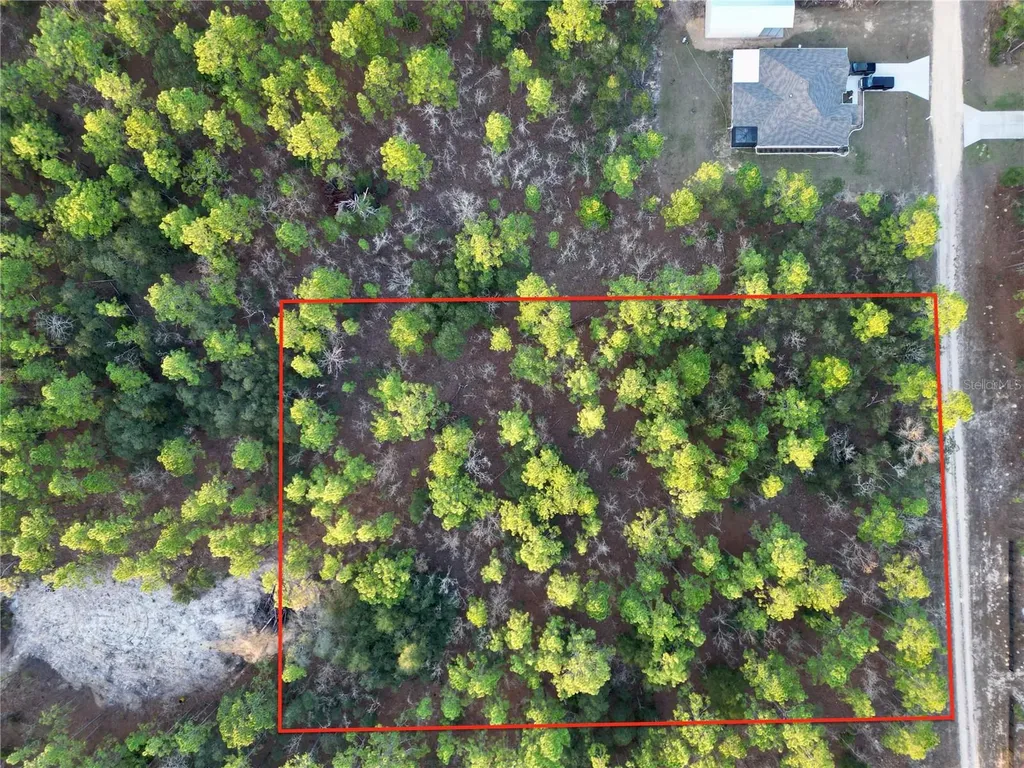 Tbd SW 124th Terrace Road Ocala FL 34481