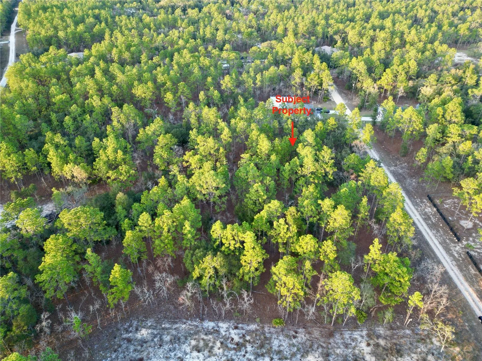 Tbd SW 124th Terrace Road Ocala FL 34481