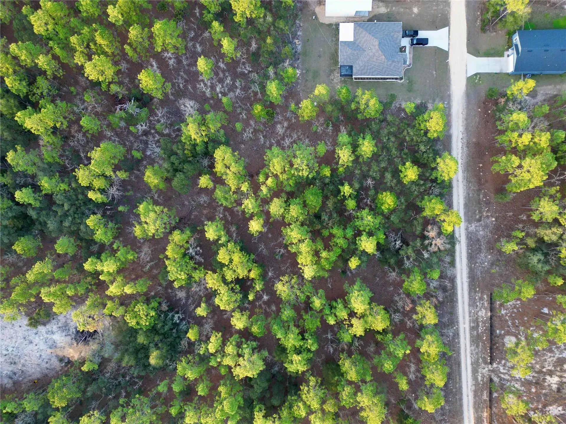Tbd SW 124th Terrace Road Ocala FL 34481
