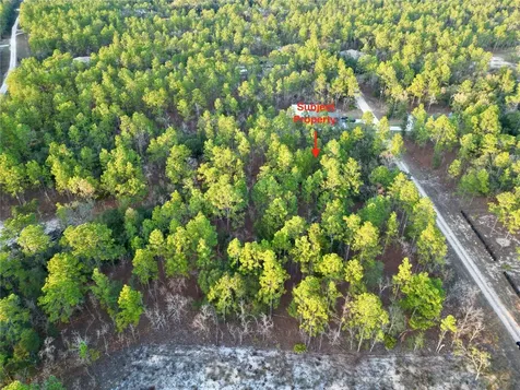 Tbd SW 124th Terrace Road Ocala FL 34481
