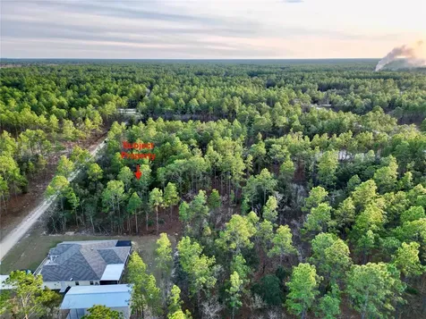 Tbd SW 124th Terrace Road Ocala FL 34481