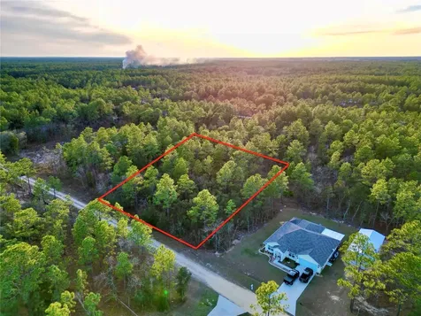 Tbd SW 124th Terrace Road Ocala FL 34481