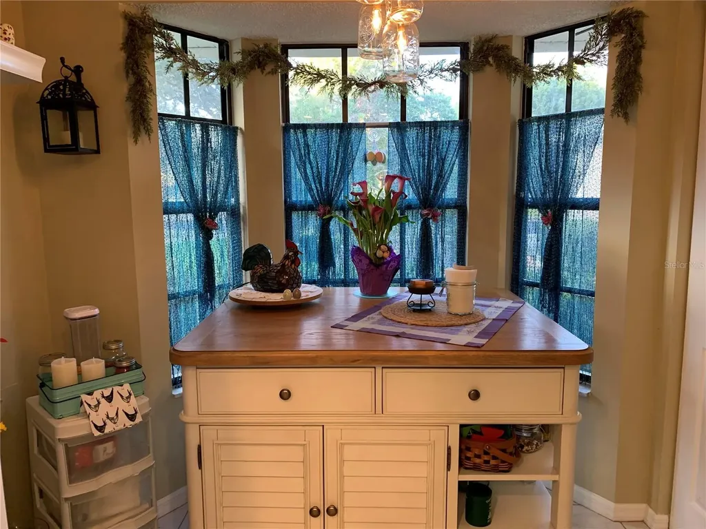 13219 Greenview Court Hudson FL 34669